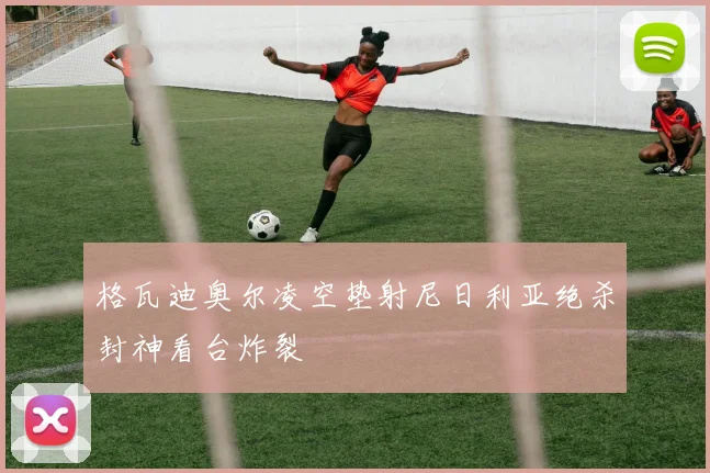 格瓦迪奥尔凌空垫射尼日利亚绝杀封神看台炸裂