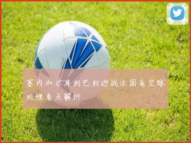塞内加尔库利巴利迎战法国高空球处理看点解析