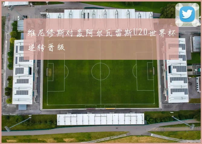 维尼修斯对轰阿尔瓦雷斯U20世界杯逆转晋级