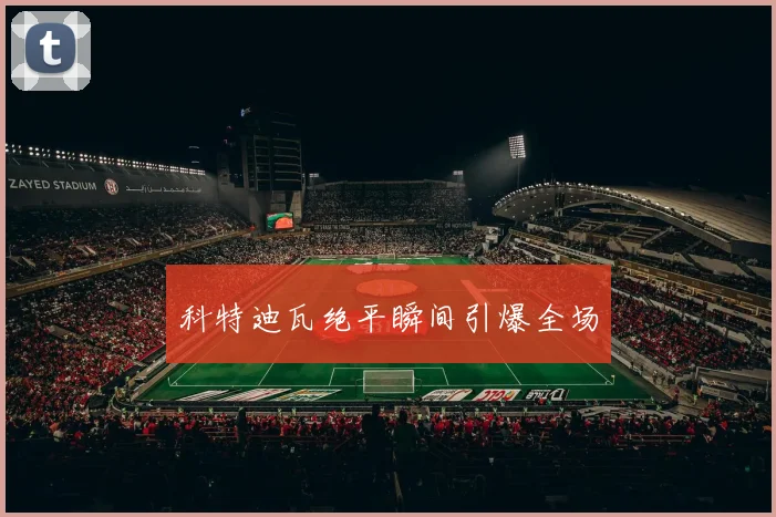 科特迪瓦绝平瞬间引爆全场