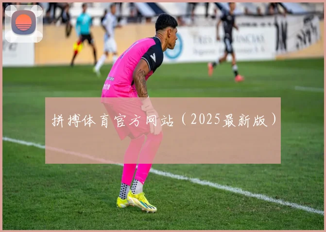 拼搏体育官方网站（2025最新版）