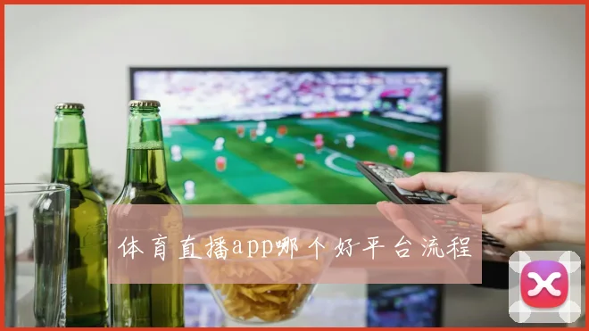 体育直播app哪个好平台流程