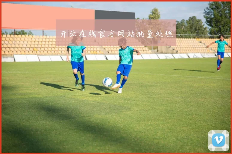 开云在线官方网站批量处理