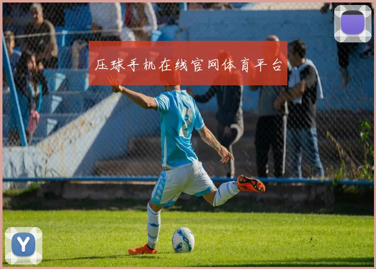 压球手机在线官网体育平台