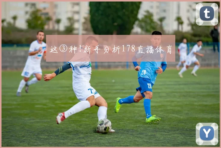 这③种!新手分析178直播体育