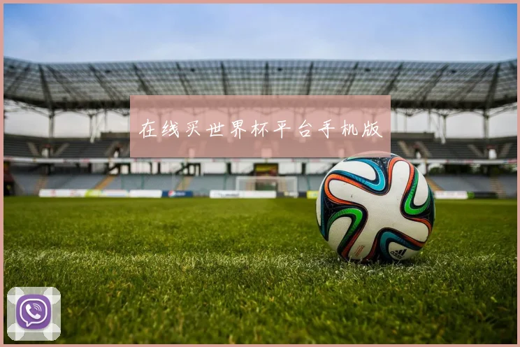 在线买世界杯平台手机版