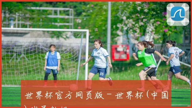 世界杯官方网页版 - 世界杯(中国)球员数据