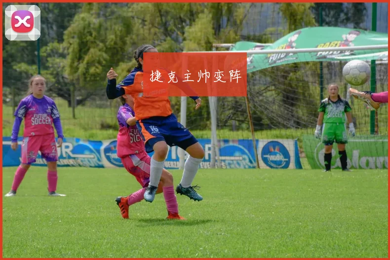捷克主帅变阵