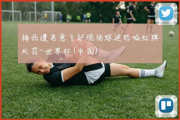 梅西遭恶意飞铲现场球迷怒喊红牌处罚-世界杯(中国)