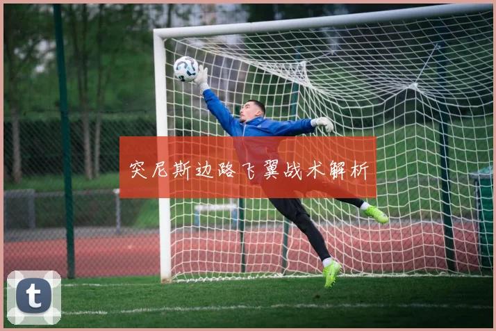 突尼斯边路飞翼战术解析