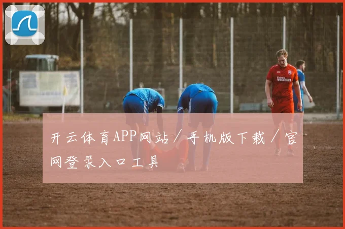 开云体育APP网站／手机版下载／官网登录入口工具
