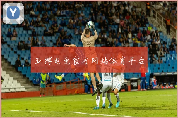 亚搏电竞官方网站体育平台
