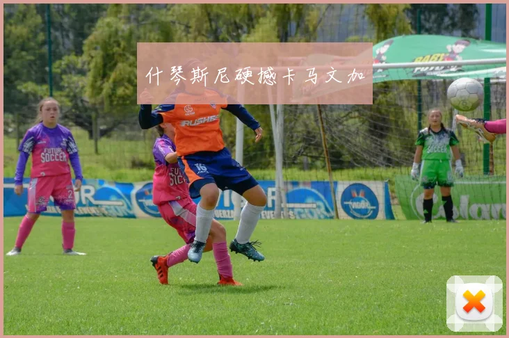 什琴斯尼硬撼卡马文加