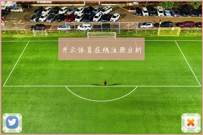 开云体育在线注册分析