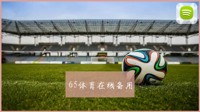 65体育在线备用