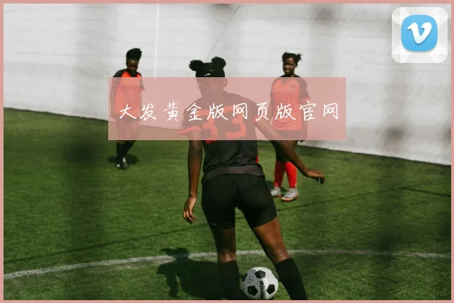 大发黄金版网页版官网