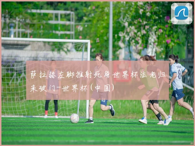 萨拉赫左脚推射死角世界杯法老归来破门-世界杯(中国)