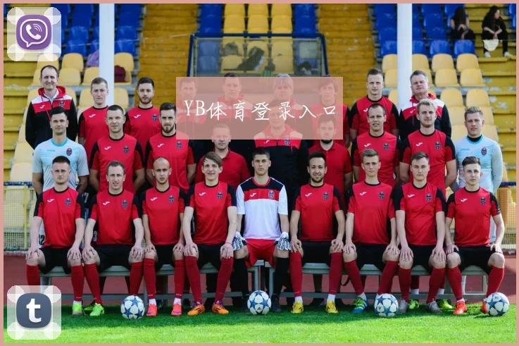 YB体育登录入口