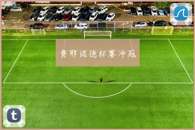 费耶诺德杯赛冲冠