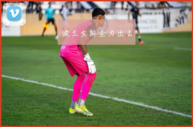 波兰女排全力出击