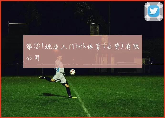 第③!玩法入门bck体育(合资)有限公司