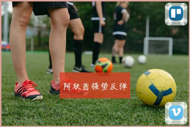阿联酋强势反弹