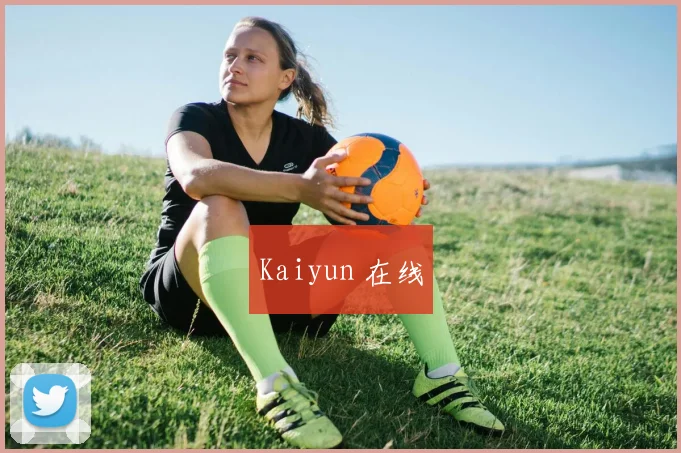 Kaiyun 在线