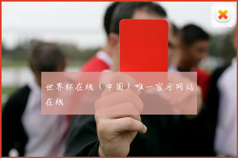 世界杯在线（中国）唯一官方网站在线