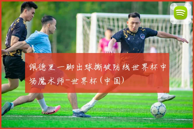 佩德里一脚出球撕破防线世界杯中场魔术师-世界杯(中国)