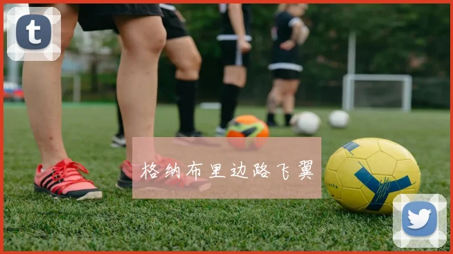 格纳布里边路飞翼