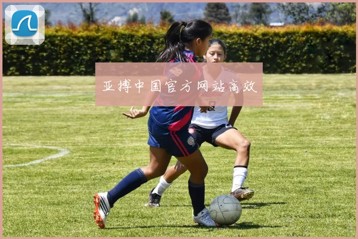 亚搏中国官方网站高效