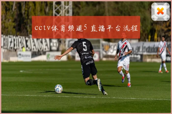 cctv体育频道5 直播平台流程
