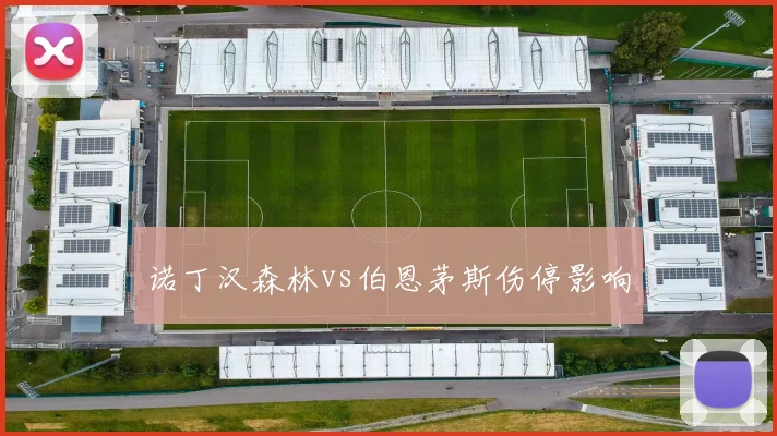 诺丁汉森林vs伯恩茅斯伤停影响