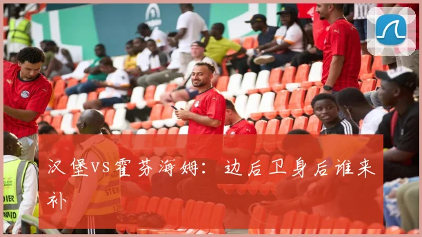 汉堡vs霍芬海姆:边后卫身后谁来补