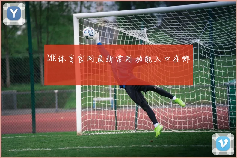 MK体育官网最新常用功能入口在哪