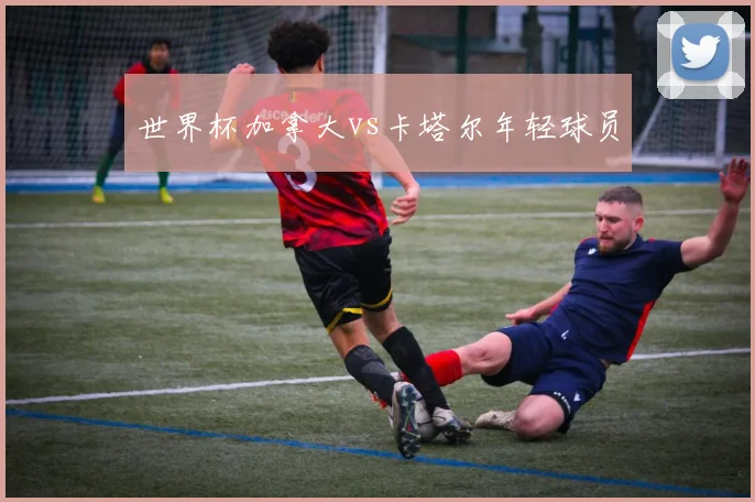 世界杯加拿大vs卡塔尔年轻球员